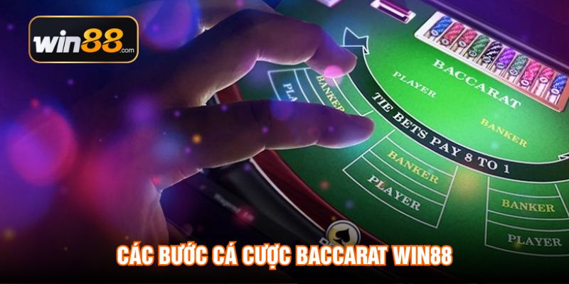 Các bước cá cược Baccarat WIN88