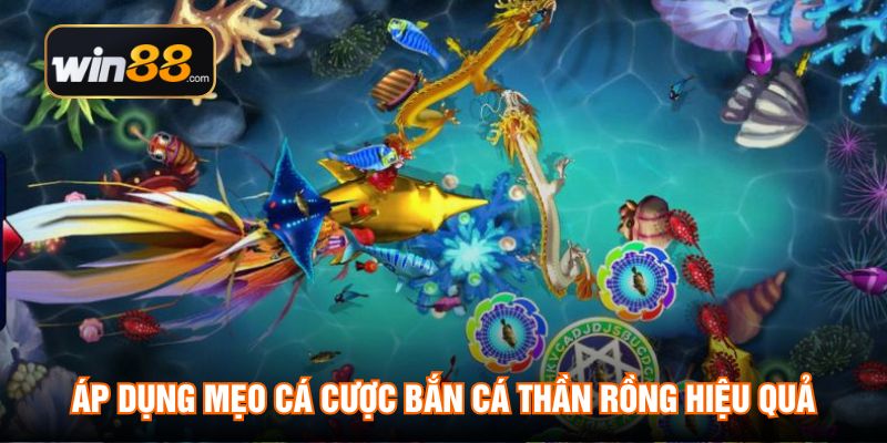 Áp dụng mẹo cá cược Bắn Cá Thần Rồng hiệu quả
