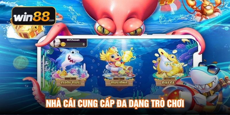 Nhà cái cung cấp đa dạng trò chơi